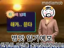 병맛 일기예보