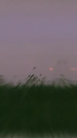 Transisi