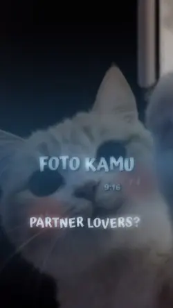 Partner Lovers?