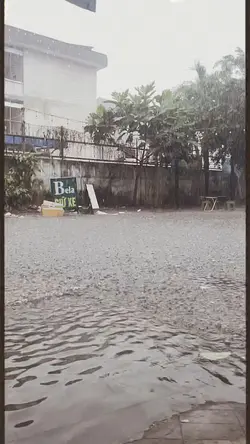 Bão táp mưa sa 🌧🌧🌧