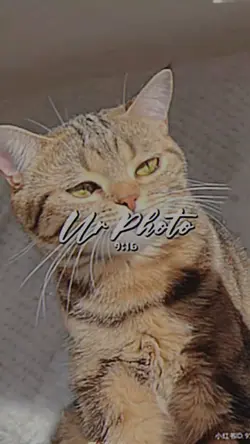 แนวเศร้าๆ 5รูป