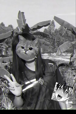 โทนสีเทา