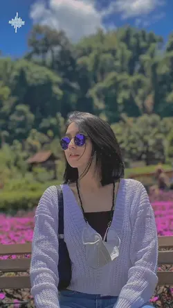 Manis gula sabu