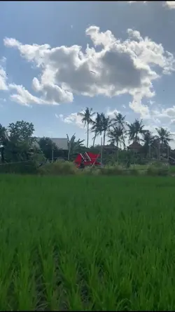 Pahami lah lelakimu 