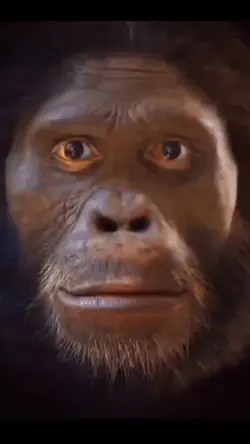 APE