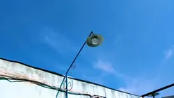 Shot On Google Pixel