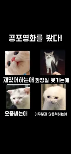 공포영화를 봤다!!