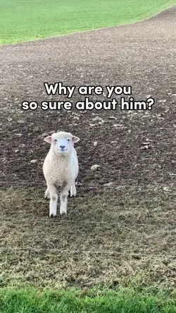 Why are you so sure?