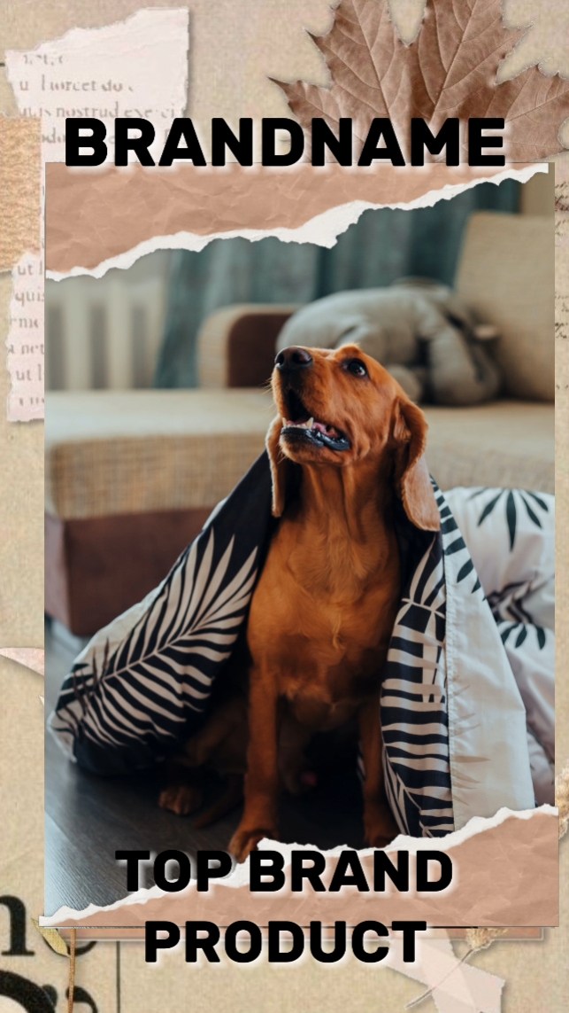 Pet Blanket Product