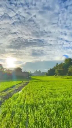 Vlog simpel