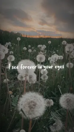 [ FLASH WARNING !! ]