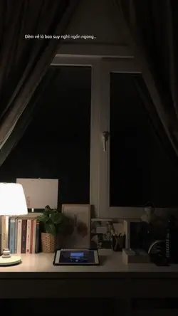 Chúc ngủ ngon❤️