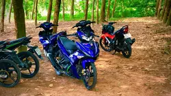 Mẫu 1 video + màu