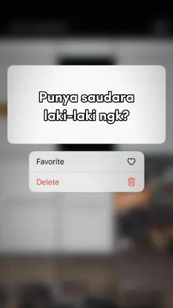 Spill saudara laki2