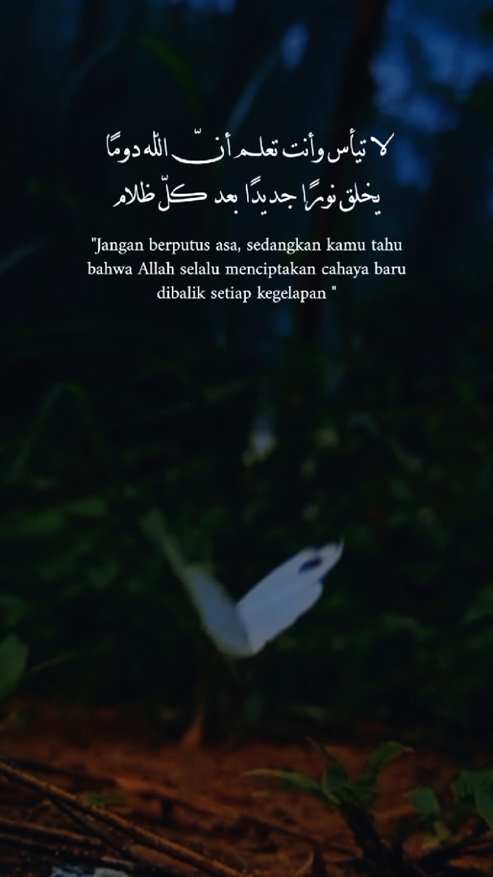 Quotes Arabic