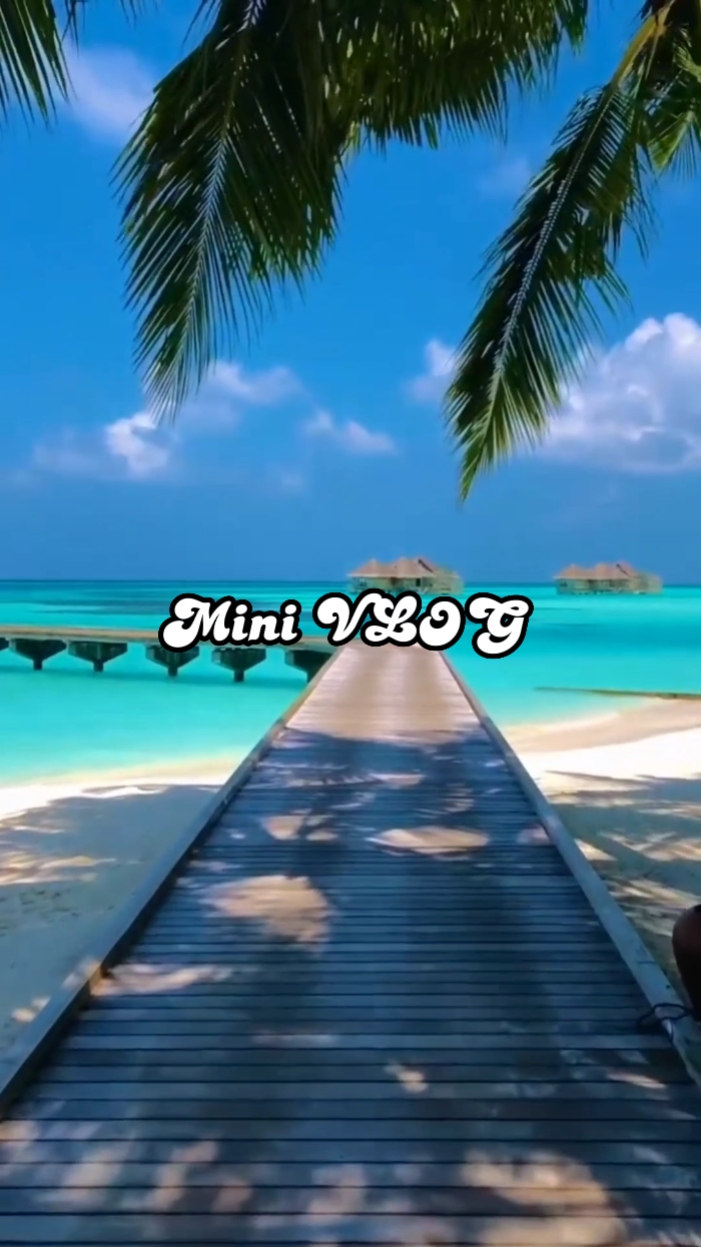 VLOG 8 Klip 12.02