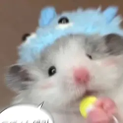 6초짜리 대령이요..