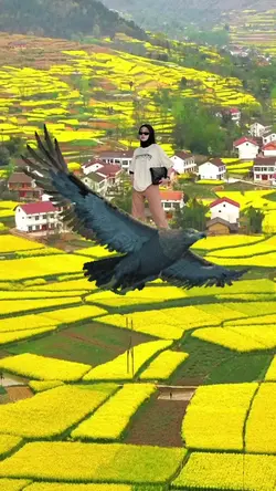 Ngecek sawah 23
