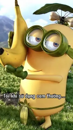 Cam Thường và App