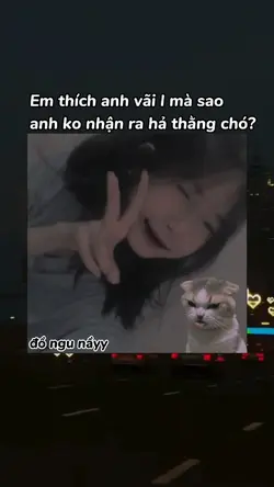 Mẫu Up Story