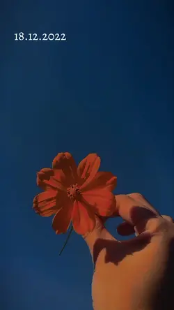 18.12.2022