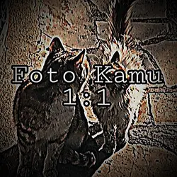 写真を3枚選ぶだけでエモい編集