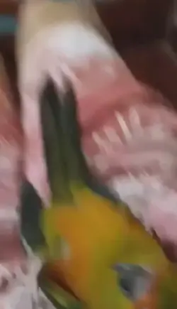 เด็กคนนั้นโตมาเป็น