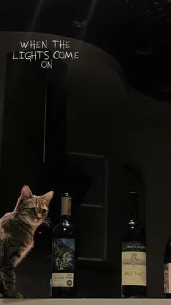LIRIK ESTETIK
