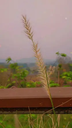 ขีดเส้นใต้