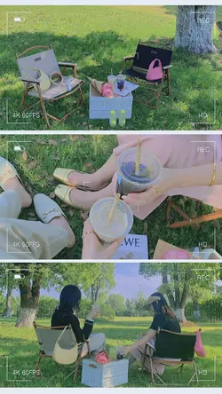 Bức ảnh 1 ngày 🌿