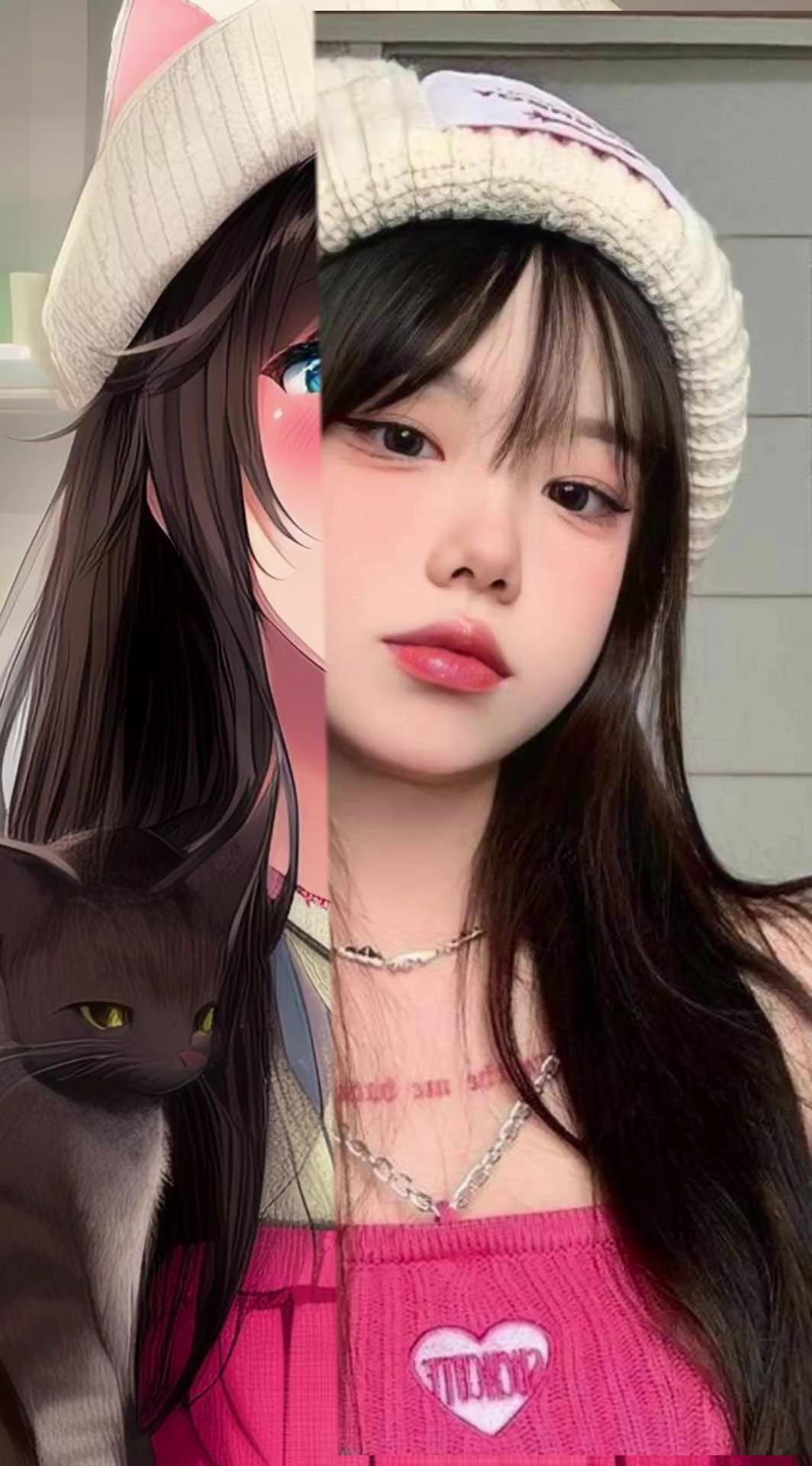 cat anime 