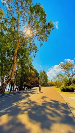 vlog 