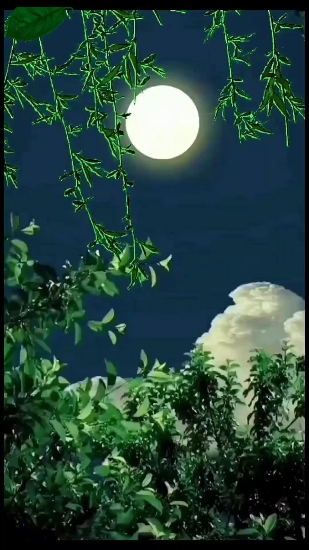 Tôi Muốn