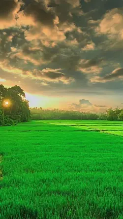 Về dưới miền tây...