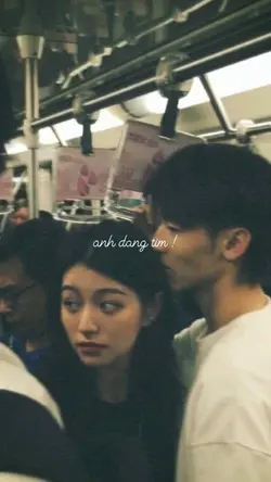 Anh đang tìm?