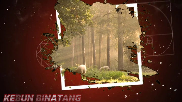 TRÁILER Soltar foto