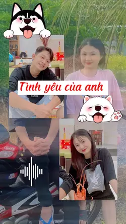 | Tình yêu | 3 Ảnh