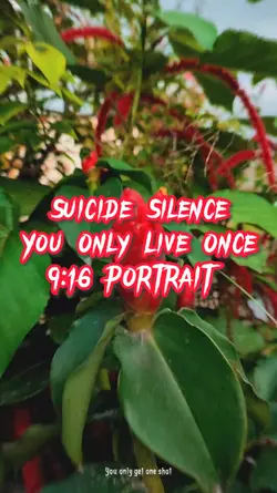 Suicide Silence 