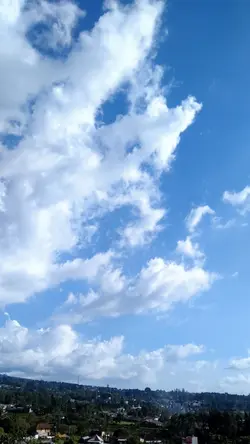 Cocok Buat Bts Nih