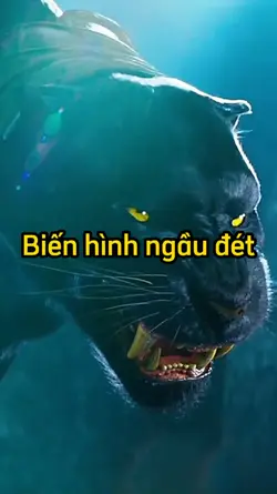 Biến hình ngầu đét