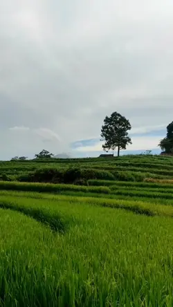 alam desa