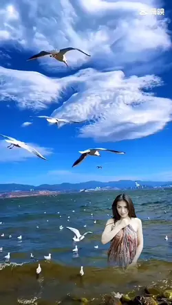 Burung terbang laut