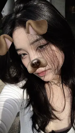 dog filtr bs digeser
