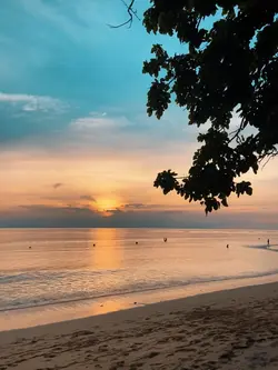 Beachvibes