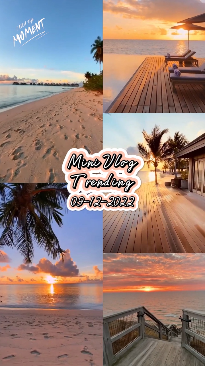 Vlog Grid Viral 1209