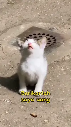 Berikanlah Saya Uang