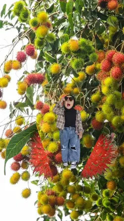 Rambutan Ajaib