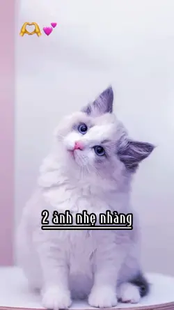 2 ảnh nhẹ nhàng