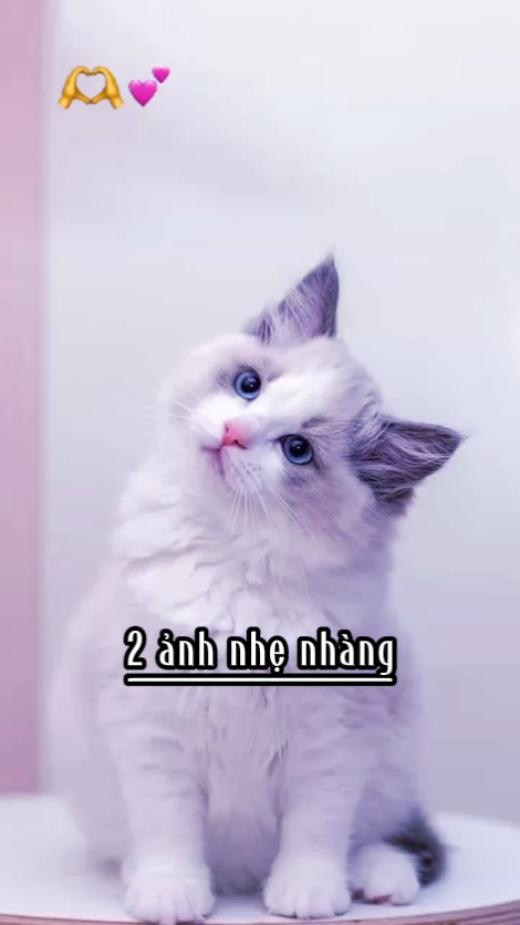 2 ảnh nhẹ nhàng