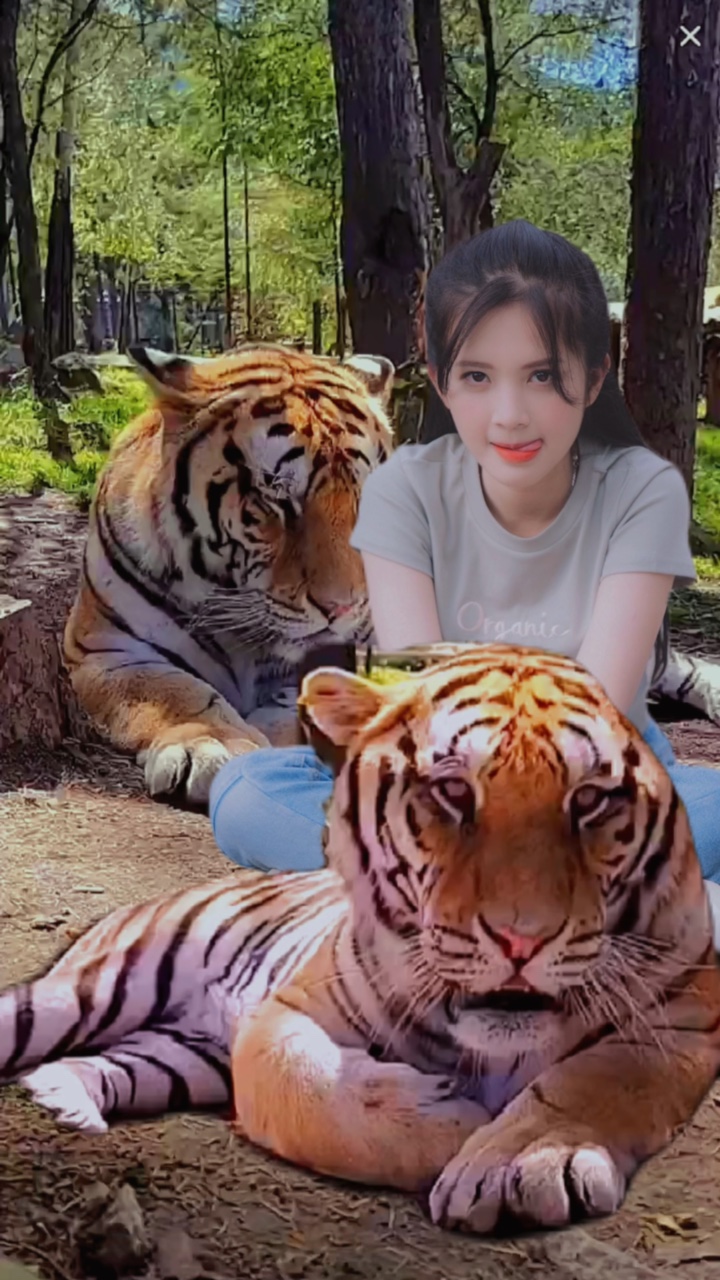 Mẫu ĐC L 